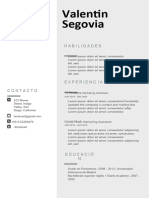 Curriculum Vitae