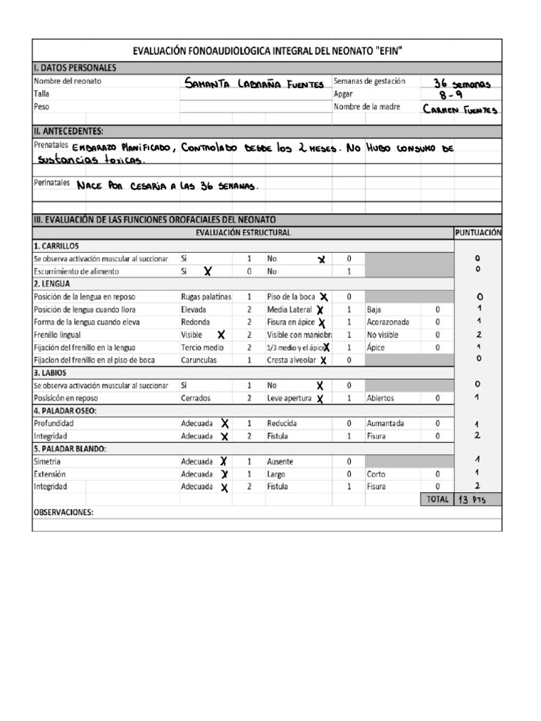 Evaluaci C3 B3n Fonoaudiol C3 B3gica Integral Del Neonato EFIN | PDF