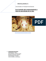 Informe Prática TIFAA Estudio Del Comportamiendo de La Rata