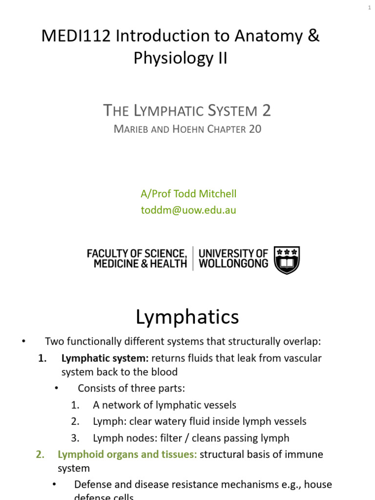 Overview of the Lymphatic System | PDF | Lymph Node | Lymphatic System