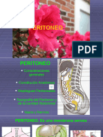Peritoneo. Esófago Abdominal. Estómago y Duodeno