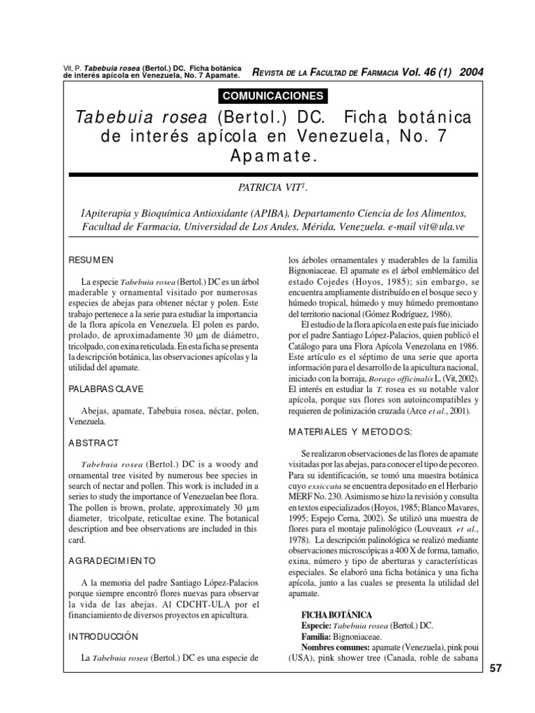 98_Tabebuia