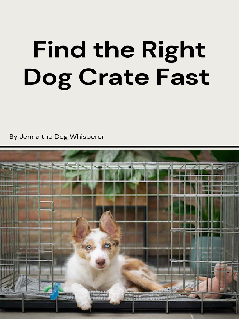 Find The Right Dog Crate Fast Final Product September 2023 PDF