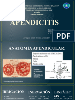 Apendicitis Ansel