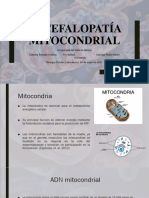 Encefalopatía Mitocondrial