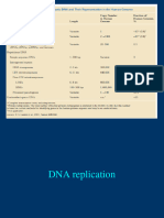 2022-04-17 L4 - DNA Replication