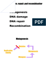 2022-04-25 L5 - DNA Damage, Repair, Recombination