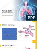 Fisiologia Respiratoria - Aula 10-2