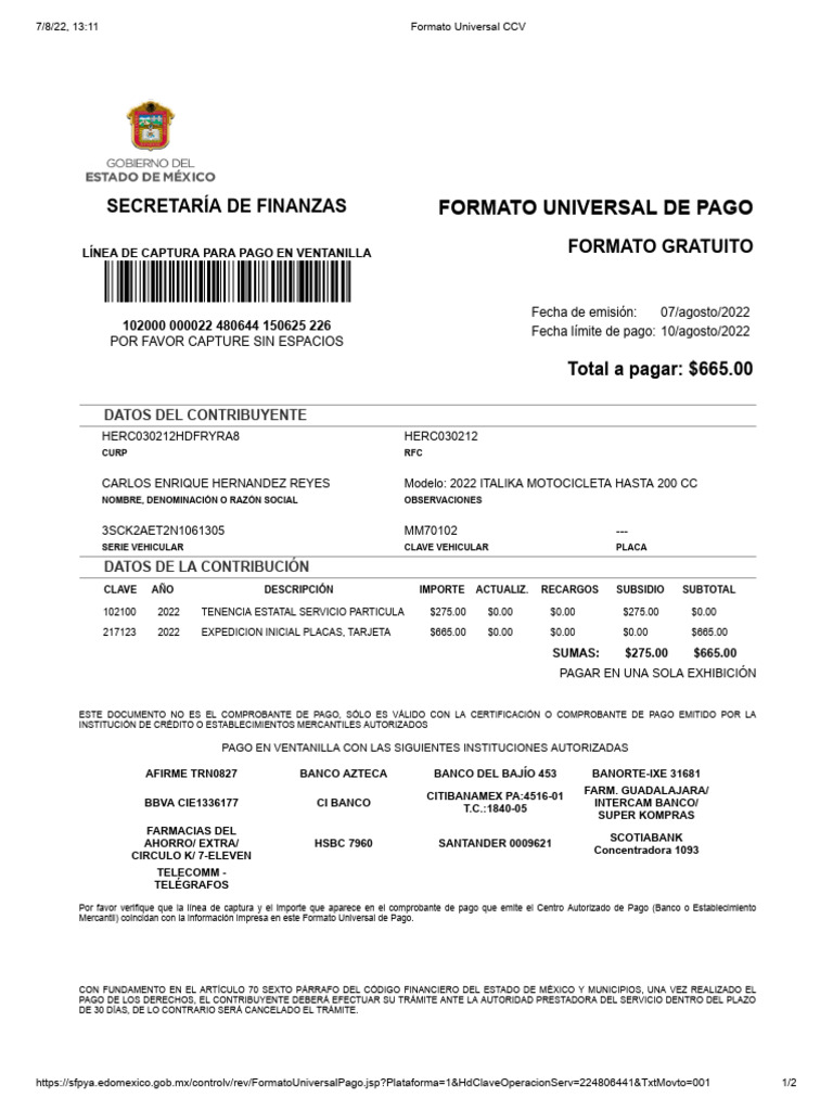 Formato de Pago de Placas 2022 | PDF | Bancos | Finanzas personales
