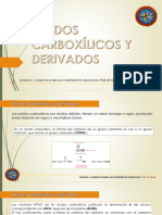 Acidos Carboxílicos y Derivados