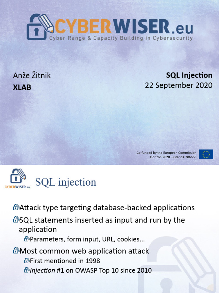 SQL Injection Exercise | PDF | Business | Computers
