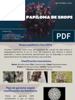 Virus Del Papiloma de Shope