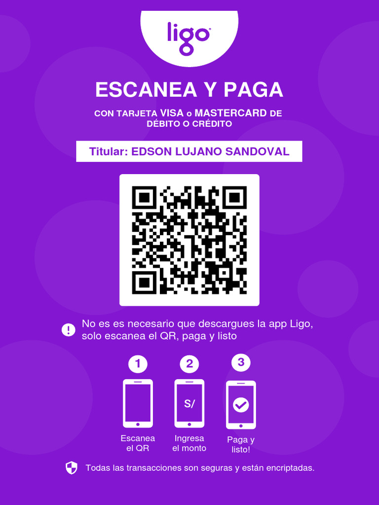 Cómo Pagar con Ligo y Visa | PDF