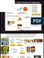 CAP VIIIII 23 TÓXICOS ALIMENTARIOS en Cereales
