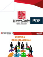 Cultura Organizacional