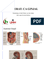 Referat CA Ginjal