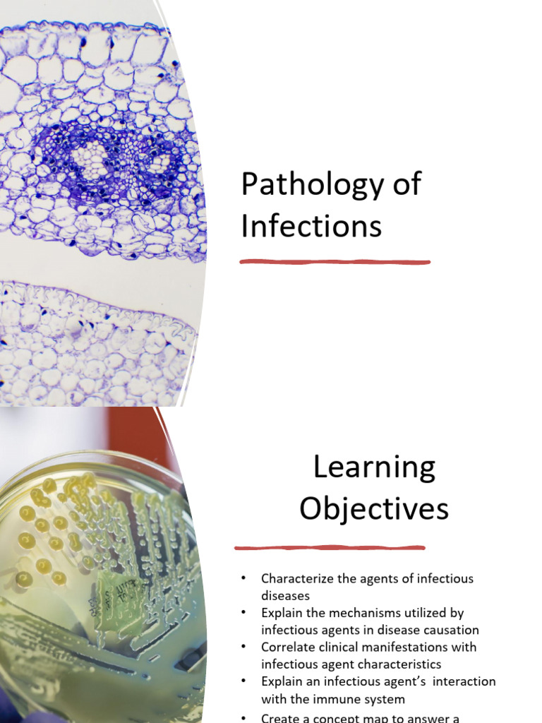 Pathology of Infections | Download Free PDF | Immune System | Infection