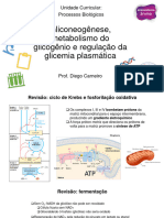 Gliconeogênese, Metabolismo Do Glicogênio e Regulação Da Glicemia Plasmática
