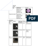 Hasil Pengamatan Mikroba