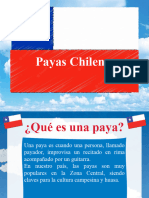 CL DF 1660048721 PPT Payas Chilenas Ver 2
