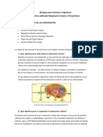 Respiración-Fotosíntesis Tarea