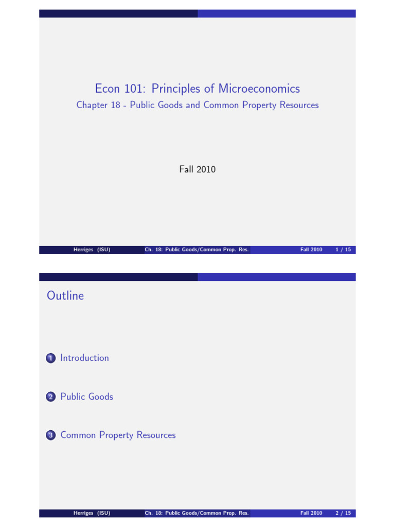 Chapter 18H - Public Goods and Common Property Resources | PDF | Goods ...