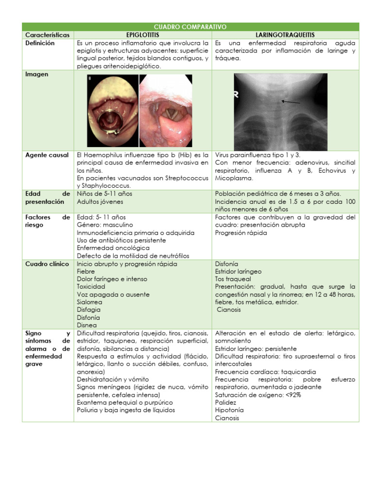 CUADRO de Epiglotitis y Laringotraqueítis | PDF | Microbiología ...