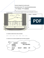 Evaluación Diagnóstica de Quinto Grado