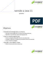 Java Basics by Oracle