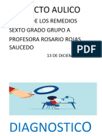 Copia de Proyecto Aulico