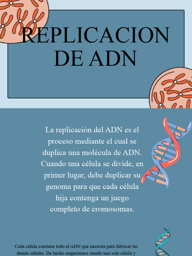 Proceso de Replicación del ADN | PDF | Adn | Replicación De Adn
