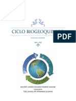 Ciclo Biogeoquimico