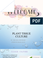 Plant Tissue Culture... PPTX 1