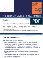 Chapter 3 Cells