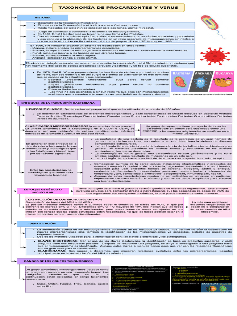 Taxonomía de Procariontes y Virus | PDF | Procariota | Las bacterias