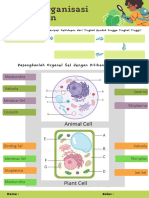 Green and Cream Laboratory Animal Cell Biology Wizer Worksheet - 3