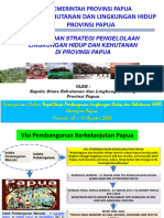 Kebijakan DKLH Papua - For P3E Di Merauke Agustus 2023
