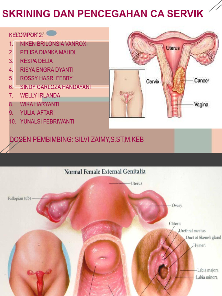 Irina Sheyk porno videolarda Krishtianu Ronalduning xorozini soradi.