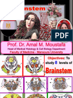 Brainstem, Histology Practical, Prof. Dr. Amal Mohamed Moustafa