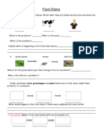 Food Chains LA Worksheet