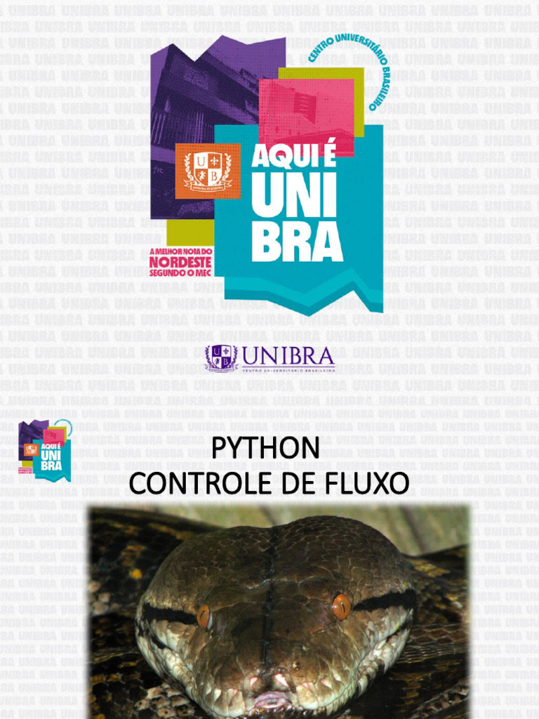 Python 3 | PDF