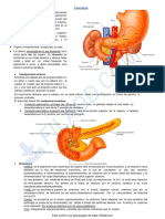 Pancreas