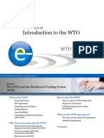 What Is WTO