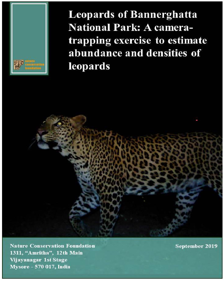 Leopard Density Study in Bannerghatta | PDF | Leopard | Akaike ...