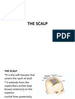 The Scalp