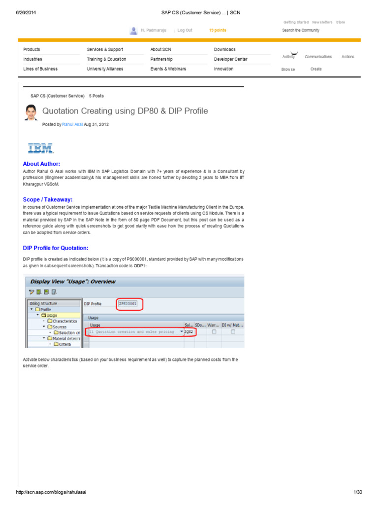 Configuring DIP Profile in SAP CS | PDF | Receipt | Information Technology