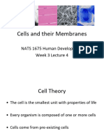 Cells and Membranes Slide