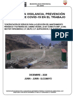Informe Ulcumayo - Covid - Diciembre