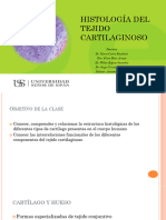 Histologia Cartílago 2022-2