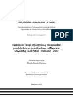 Factores de Riesgo Ergonómico y Discapacidad Por Dolor Lumbar en Estibadores Del Mercado Mayorista y Raez Patiño - Huancayo - 2019